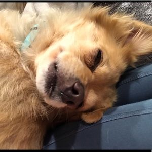 Meet your Posher, Gabrielle